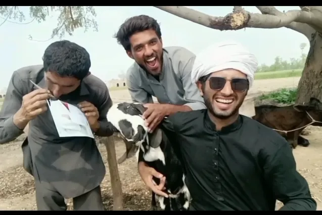Village Goat Farm Funny Video Greeting - Thumbnail